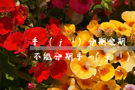手機(jī)分期逾期還能貸款嗎(逾期了能不能分期手機(jī))