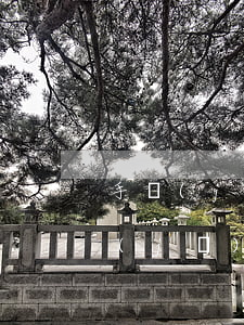 手機(jī)卡丟了怎么補(bǔ)辦(手機(jī)卡丟了怎么補(bǔ)辦原號碼收費嗎)