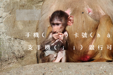 手機(jī)卡號(hào)涉及信用卡透支(手機(jī)銀行可以透支信用卡嗎)