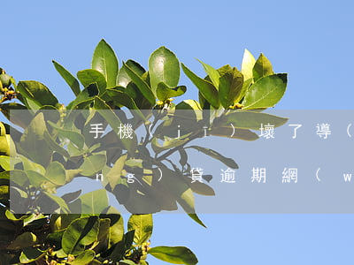 手機(jī)壞了導(dǎo)致網(wǎng)貸逾期(網(wǎng)貸逾期最壞結(jié)果)