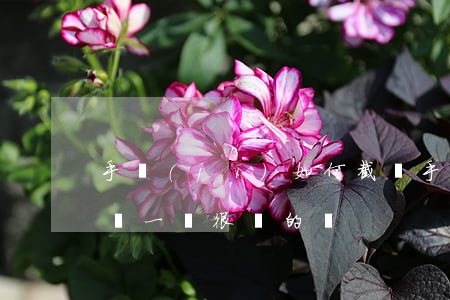 手機(jī)如何截圖，手機(jī)如何截圖一個很長的圖