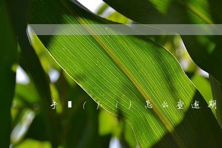 手機(jī)怎么查逾期記錄