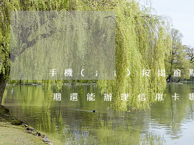 手機(jī)按揭逾期還能辦信用卡嗎(有逾期還能辦理信用卡嗎)