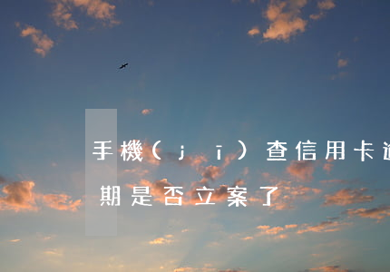 手機(jī)查信用卡逾期(怎么查信用卡逾期是否立案了)
