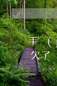 手機(jī)欠網(wǎng)貸怎么處理(欠了網(wǎng)貸手機(jī)丟了怎么辦)