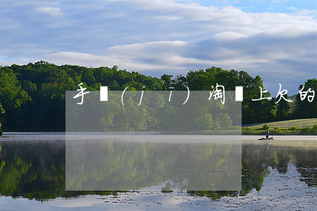 手機(jī)淘寶上欠的花唄哪里還