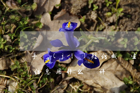 手機(jī)短信截圖生成器(修改短信截圖信息用什么軟件)