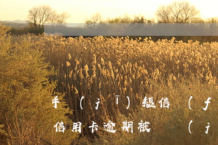 手機(jī)短信發(fā)來(lái)信用卡逾期被凍結(jié)-逾期發(fā)短信說(shuō)凍結(jié)我名下所有的卡