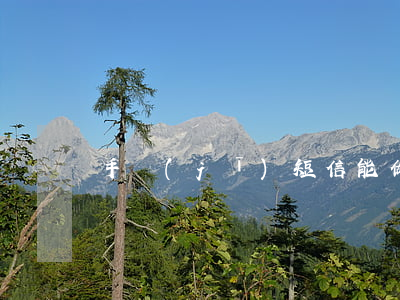 手機(jī)短信能做擔(dān)保嗎