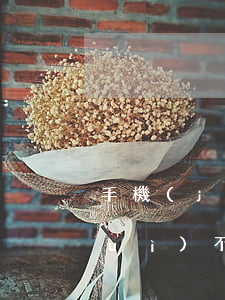 手機(jī)網(wǎng)貸不還會(huì)不會(huì)坐牢(網(wǎng)貸會(huì)坐牢嗎?)