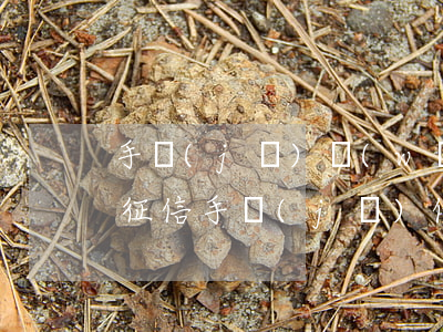 手機(jī)網(wǎng)貸逾期多久上征信(手機(jī)借款逾期多久會(huì)上征信)