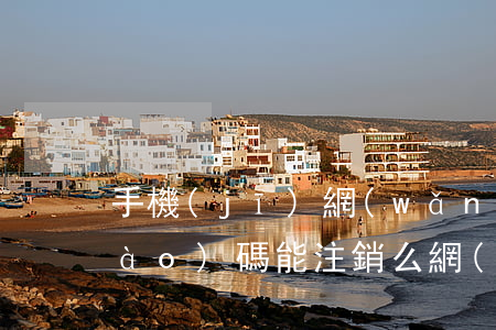 手機(jī)網(wǎng)貸逾期號(hào)碼能注銷么(網(wǎng)貸手機(jī)號(hào)注銷了,網(wǎng)貸還不進(jìn)去怎么辦)
