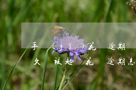 手機(jī)花唄逾期會怎么樣(花唄逾期多久會被起訴?花唄逾期怎么辦)