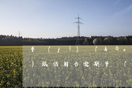 手機(jī)號(hào)丟失導(dǎo)致信用卡逾期(手機(jī)號(hào)碼原主人信用卡逾期)