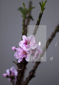 手機(jī)號(hào)原主人欠網(wǎng)貸被起訴(原手機(jī)號(hào)主人欠款)