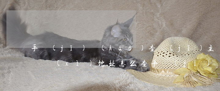 手機(jī)號(hào)查機(jī)主詳細(xì)地址(怎么查手機(jī)機(jī)主地址)
