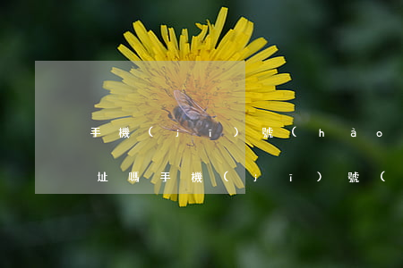 手機(jī)號(hào)碼可以查家庭住址嗎(手機(jī)號(hào)碼可以查到家庭住址嗎)