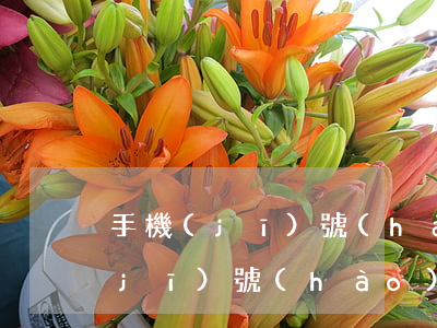 手機(jī)號(hào)碼有欠貸(手機(jī)號(hào)碼有欠貸)