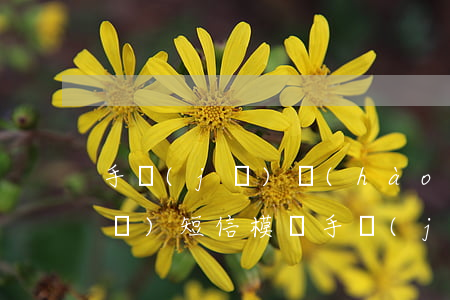 手機(jī)號(hào)碼模擬器發(fā)短信(模擬手機(jī)號(hào)碼收短信)