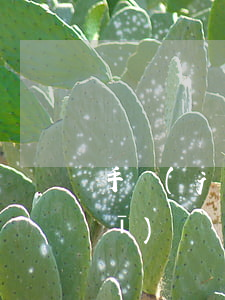 手機(jī)號碼換了信用卡逾期(手機(jī)號碼換了信用卡逾期)