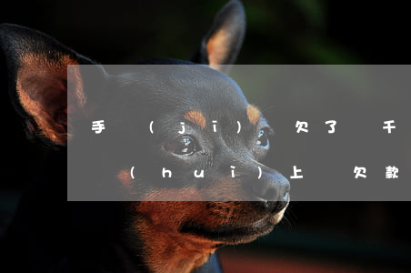 手機(jī)貸欠了兩千多會(huì)不會(huì)上門(欠款兩千多會(huì)上門么)