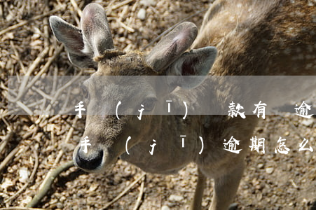 手機(jī)貸款有過逾期怎么辦(以前按揭手機(jī)逾期怎么處理)