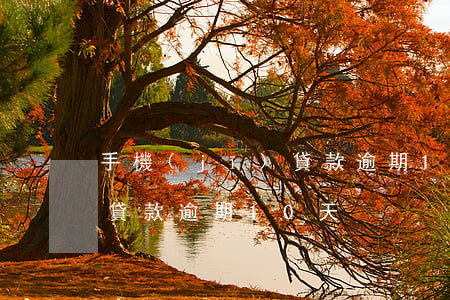 手機(jī)貸款逾期10天(手機(jī)貸款逾期10天)