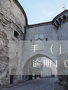 手機(jī)貸款逾期20天(手機(jī)逾期10天在還有沒有問題)