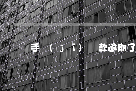 手機(jī)貸款逾期了9天(房貸逾期七天)