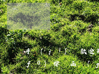 手機(jī)貸款逾期律師函(貸款逾期發(fā)律師函過(guò)來(lái)沒(méi)事吧)