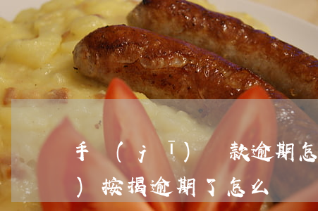 手機(jī)貸款逾期怎樣還款(手機(jī)按揭逾期了怎么還)