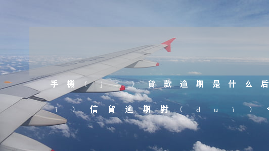 手機(jī)貸款逾期是什么后果(手機(jī)信貸逾期對(duì)今后貸款有沒(méi)有影響)