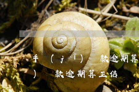 手機(jī)貸款逾期算正信嗎(手機(jī)貸款逾期算正信嗎)