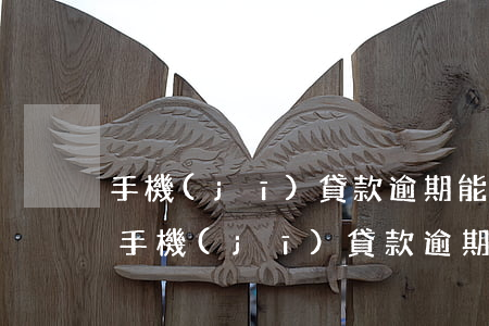 手機(jī)貸款逾期能坐飛機(jī)嗎(手機(jī)貸款逾期能坐飛機(jī)嗎)