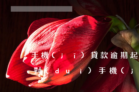 手機(jī)貸款逾期起訴有用嗎(貸款逾期對(duì)手機(jī)號(hào)有什么影響)