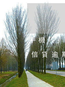 手機(jī)貸款逾期違法嗎(手機(jī)信貸逾期對(duì)今后貸款有沒(méi)有影響)