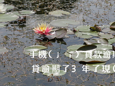 手機(jī)貸款逾期還款嗎(手機(jī)貸逾期了3年了,現(xiàn)在到哪里可以還款)