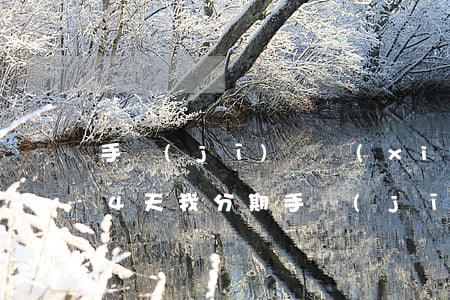 手機(jī)貸現(xiàn)金分期逾期4天(我分期手機(jī)逾期兩年多)