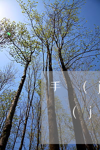 手機(jī)貸要逾期一個(gè)月還 手機(jī)逾期了還能貸款嗎