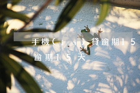 手機(jī)貸逾期15天(手機(jī)貸逾期15天)