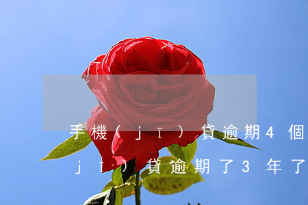 手機(jī)貸逾期4個(gè)月(手機(jī)貸逾期了3年了,現(xiàn)在到哪里可以還款)