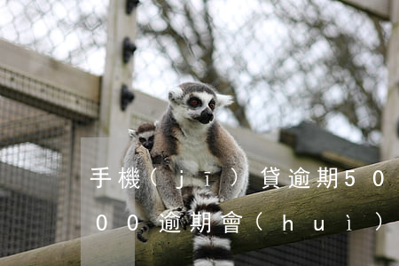手機(jī)貸逾期5000起訴(貸款5000逾期會(huì)不會(huì)被起訴)