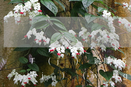 手機(jī)貸逾期75天收到起訴涵(手機(jī)網(wǎng)貸逾期多久會(huì)被起訴)
