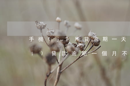 手機(jī)貸逾期一天不會爆吧(手機(jī)貸款逾期一個月不還會有什么后果)