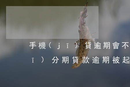 手機(jī)貸逾期會不會被起訴(手機(jī)分期貸款逾期被起訴會怎樣)