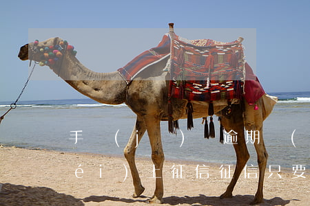 手機(jī)貸逾期沒(méi)還沒(méi)上征信(征信只要沒(méi)逾期就可以貸款購(gòu)房嗎?)