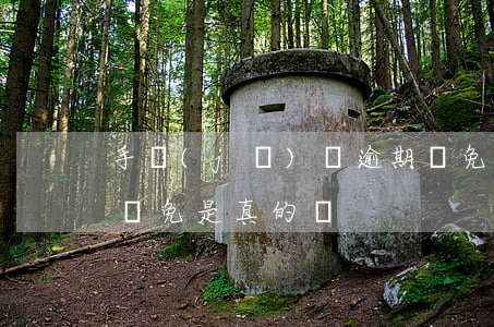 手機(jī)貸逾期減免名額 貸款逾期申請減免是真的嗎