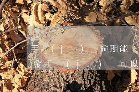 手機(jī)貸逾期能協(xié)商還本金(手機(jī)貸可以協(xié)商還本金嗎)