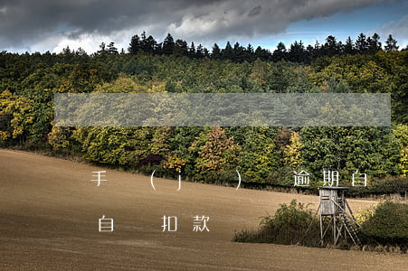 手機(jī)貸逾期自動扣款(貸款逾期后會自動扣款嗎)