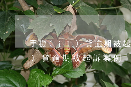 手機(jī)貸逾期被起訴案例(手機(jī)貸逾期被起訴案例)